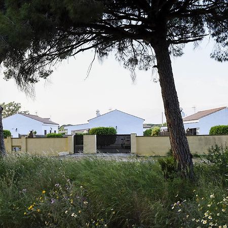 Villas Perez Zara Conil De La Frontera Ngoại thất bức ảnh
